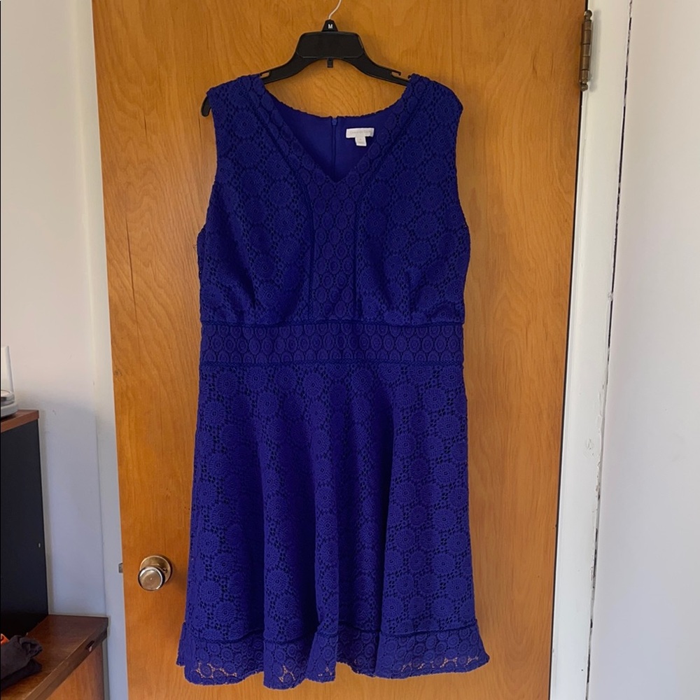 Flattering Blue Charter Club Plus Size Lace Dress